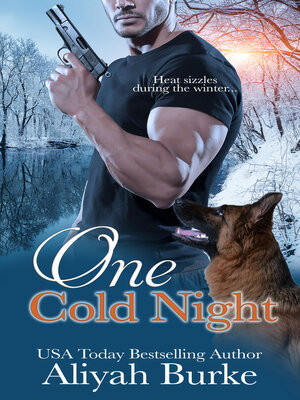 cover image of One Cold Night